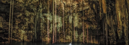 Cenotes of Yucatan: live from the underworld