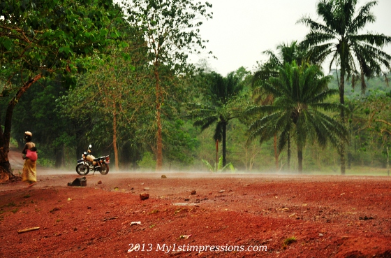 In the jungle of Guinea everyday rains at 5pm!