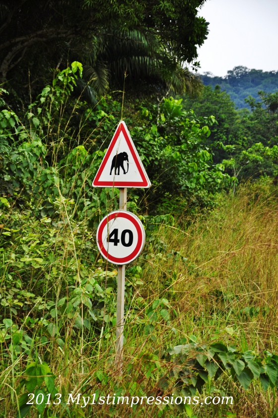 On the roads of Elephants