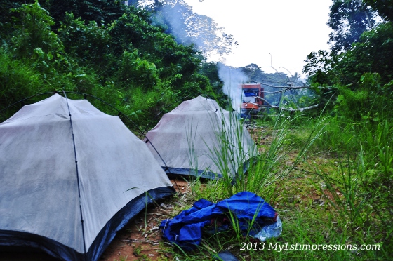 Camping in the rainforest