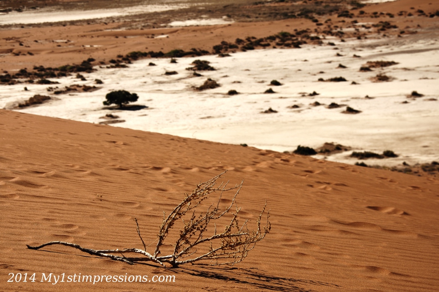 My_1st_impressions_Soussuvlei,Namibia (38)