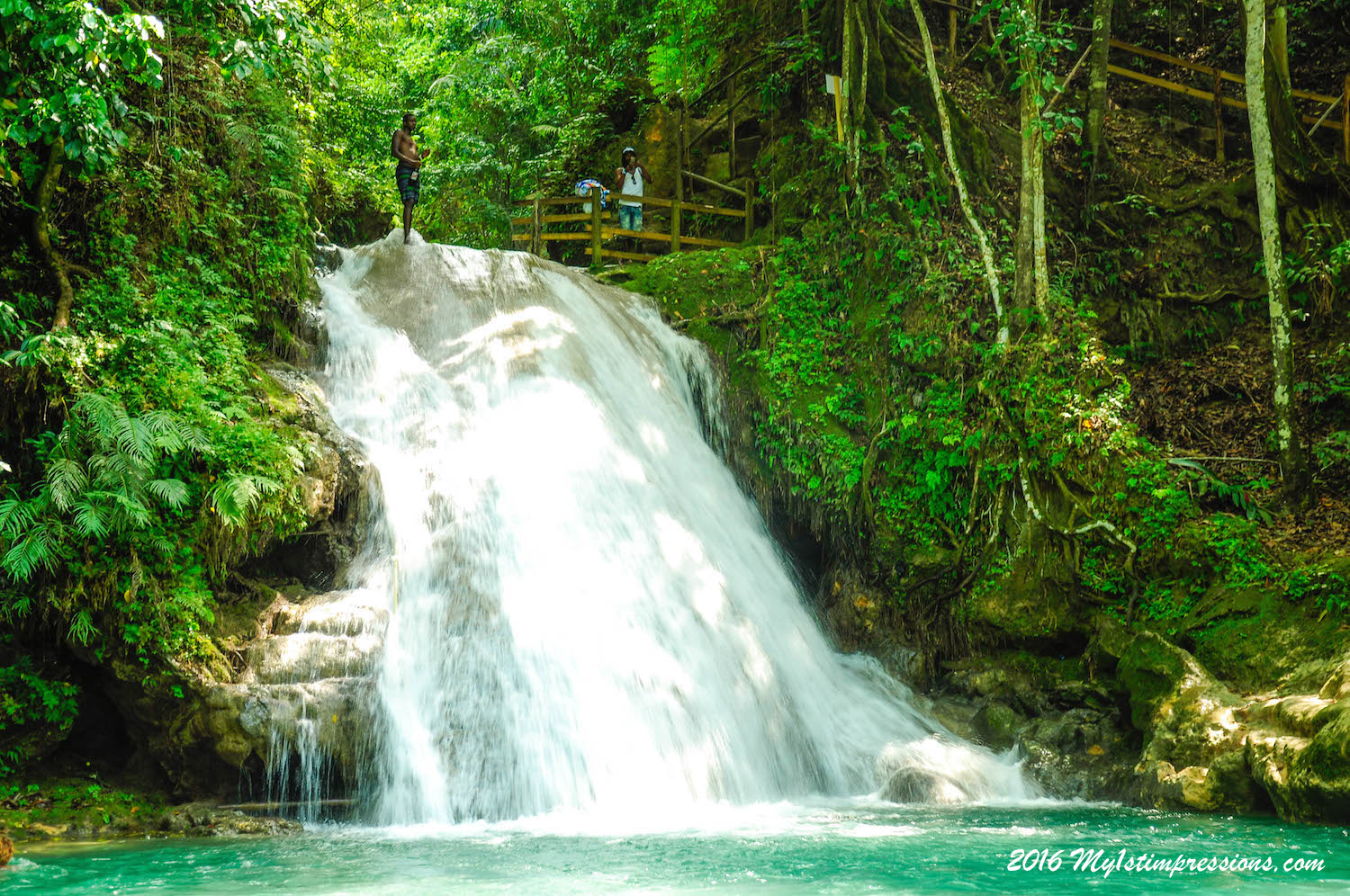 jamiacan-jungle-in-ocho-rios