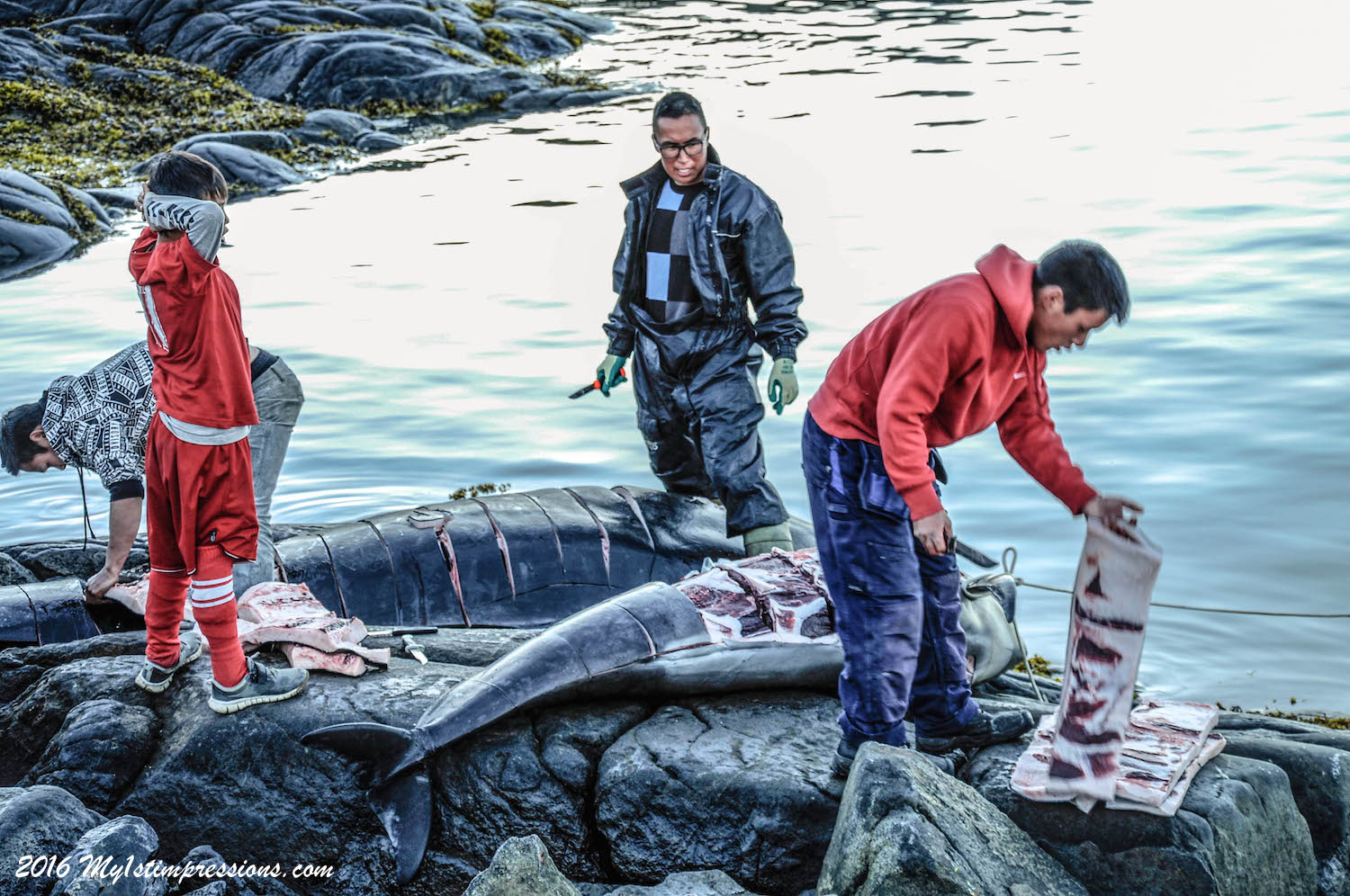 A Day With The Inuits Whale Hunting